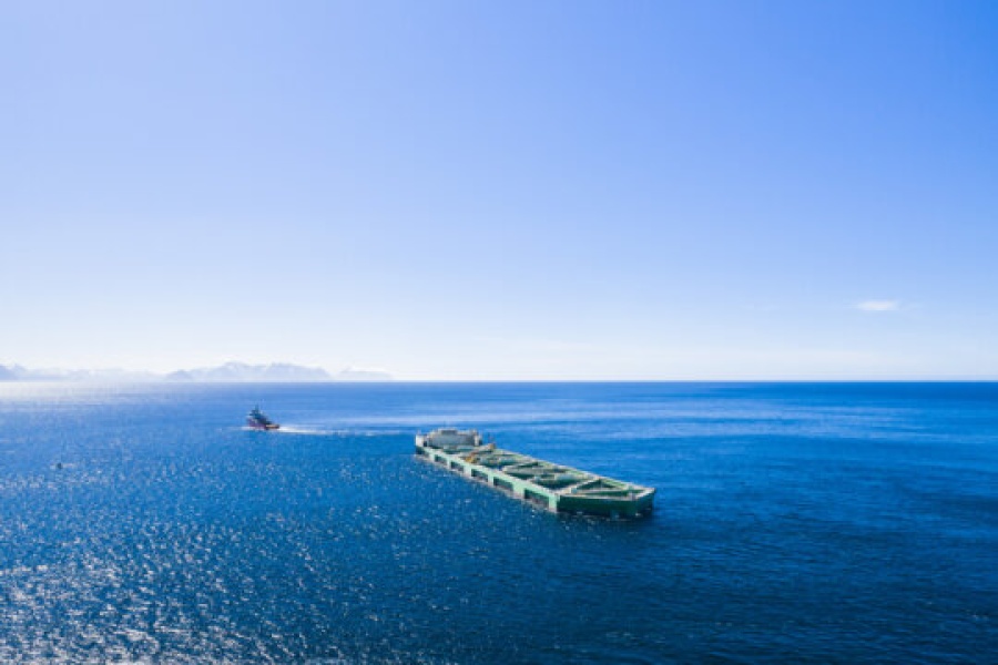 En oppdrettsmerd slepes utover havet av en båt under klar blå himmel. Det dype blå vannet strekker seg mot horisonten, der fjellene skimtes i det fjerne.