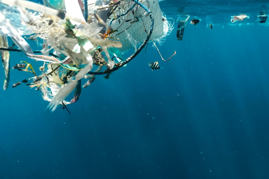 Plastavfall som flyter i havet sammen med små fisker, som illustrerer marin forsøpling.