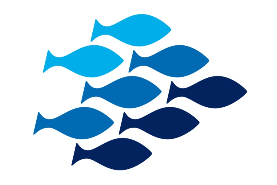 En stilisert illustrasjon av en stim med ni fisk i ulike blåtoner, arrangert i et diagonalt mønster mot hvit bakgrunn.