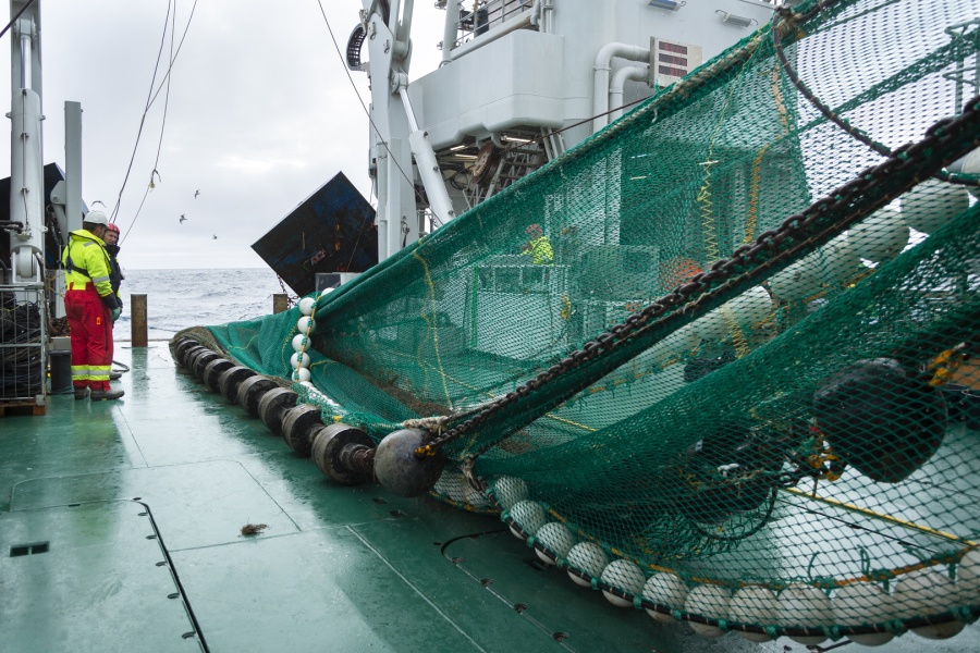 Tråling fra skip i Arktis. To mennesker i oransje dresser står å ser på 