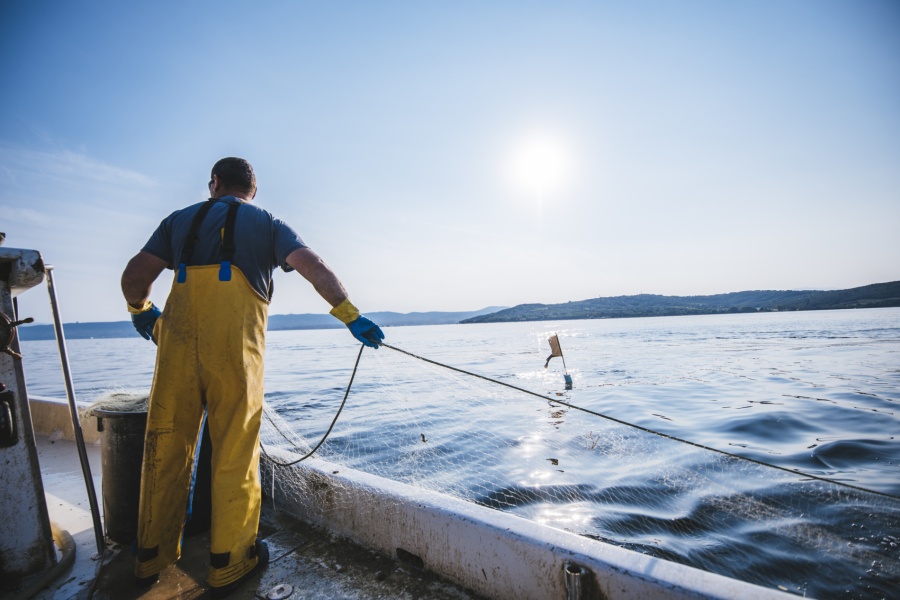 En fisker i gule oljehyrer og blå hansker trekker inn et fiskegarn fra båten på åpent hav under solskinn.