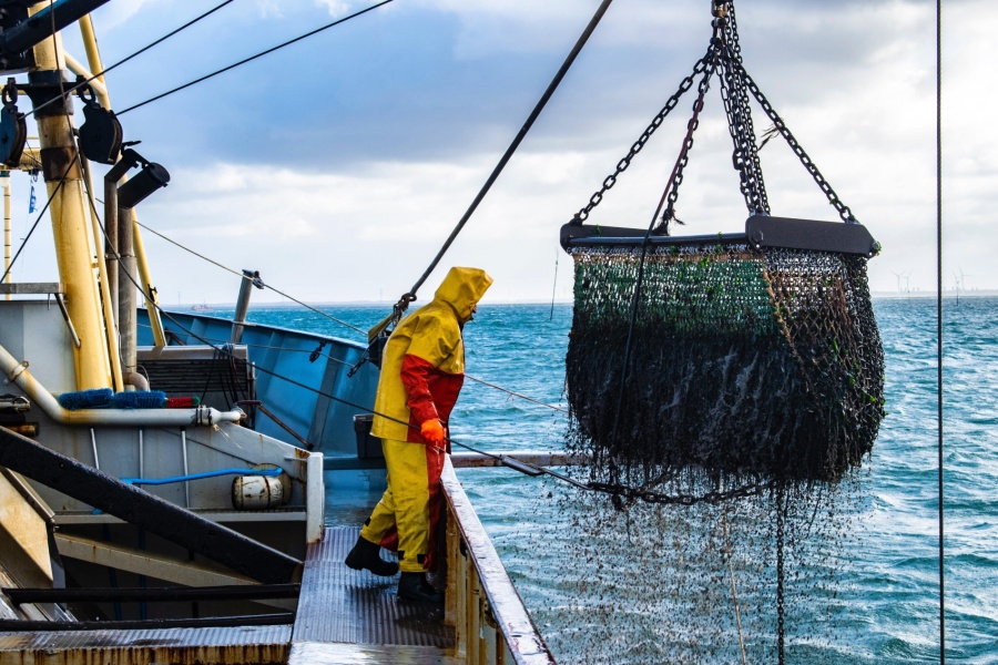 Fisker i gul og rød oljehyre arbeider om bord på fiskebåt mens fangst heves i nett over dekk på åpent hav.