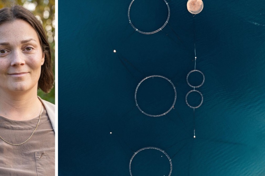 Portrettbilde av Sigri Nilsen og flyfoto av akvakultur. 