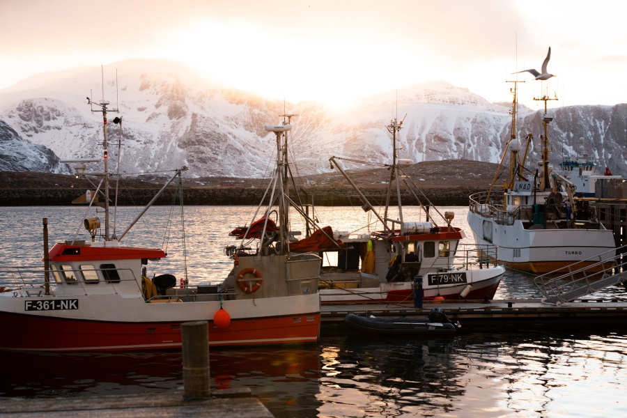Fiskebåter i havn