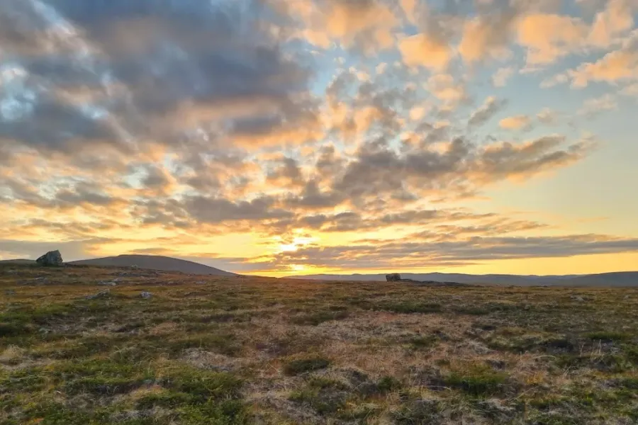 Gyldent landskap i Troms