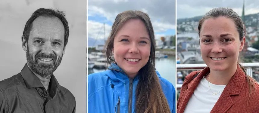 Portrettmontasje av tre personer tilknyttet Senter for hav og Arktis ved UiT Norges arktiske universitet.
