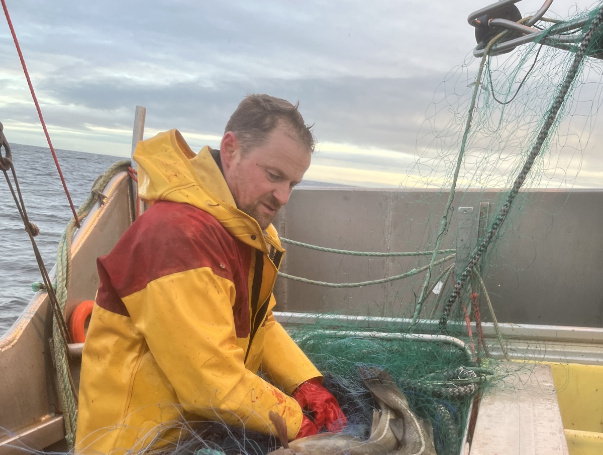 Fisker i gul oljehyre håndterer fisk og fiskegarn om bord på en båt.
