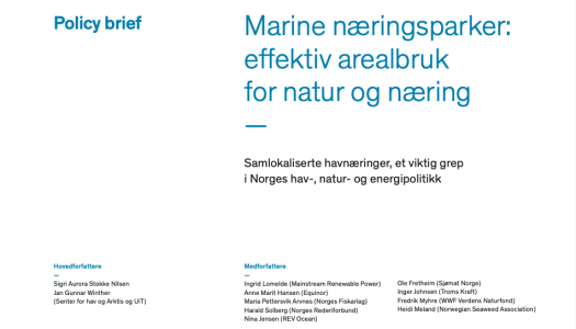 Forside til policy brief med tittelen «Marine næringsparker: effektiv arealbruk for natur og næring», med undertittelen «Samlokaliserte havnæringer, et viktig grep i Norges hav-, natur- og energipolitikk