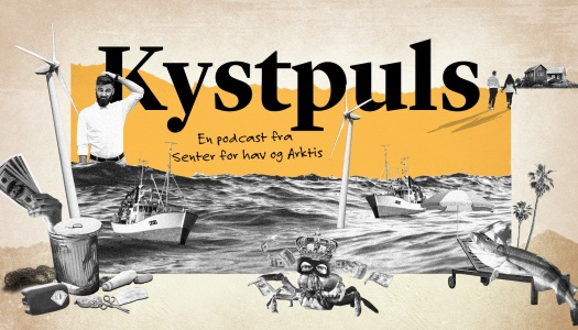 "Illustrasjon for podkasten Kystpuls fra Senter for hav og Arktis. Bildet viser fiskebåter på havet, vindmøller, penger, søppel og fisk – symboler på både utfordringer og muligheter i havnæringene. Midt i bildet står tittelen 'Kystpuls' i stor skrift.