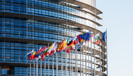 All European Union flags in front of parliament