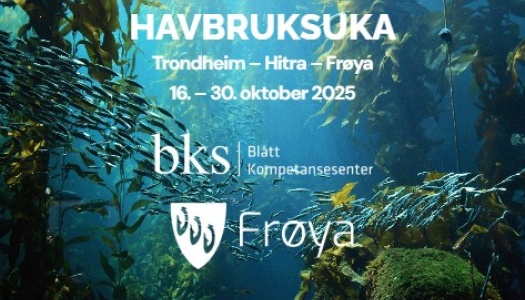 Reklamebilde for Havbruksuka 2025 med undervannsmotiv av stimfisk og tareskog. Teksten opplyser at arrangementet finner sted i Trondheim, Hitra og Frøya fra 16.–30. oktober 2025. Nederst vises logoene til Blått kompetansesenter og Frøya kommune.