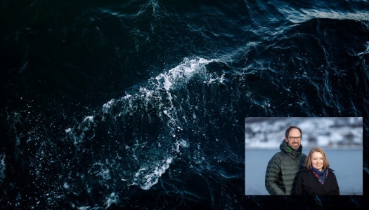 Mørke havbølger med hvitt skum, med et lite innfelt bilde nederst til høyre av en mann i grønn jakke og en kvinne i mørk kåpe som står foran sjø og snødekte fjell.