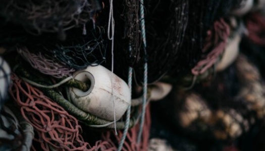 Nærbilde av sammenfiltret fiskegarn i ulike farger, med en hvit flytebøye delvis synlig mellom tauene. Teksturen og detaljene i garnet gir et rustikt og autentisk uttrykk.