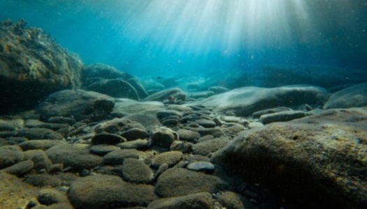 Undervannsbilde av en steinete havbunn badet i sollys som trenger ned gjennom det klare vannet. Lyset danner stråler som sprer seg over steinene og skaper et rolig og naturlig kystmiljø.