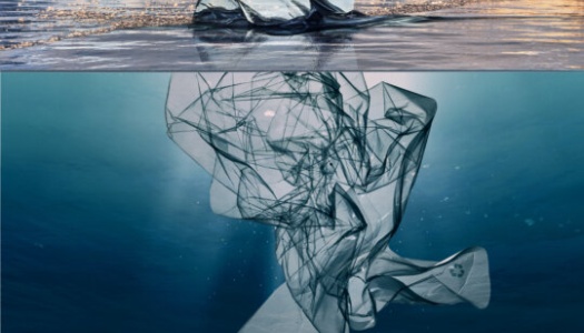 Et bilde delt i to deler som viser en plastpose i havet. Øverst flyter posen på vannoverflaten med refleksjoner fra sollys, mens den nederste delen viser hvordan posen ser ut under vann – krøllet og gjennomsiktig som en manet i det blå havet.