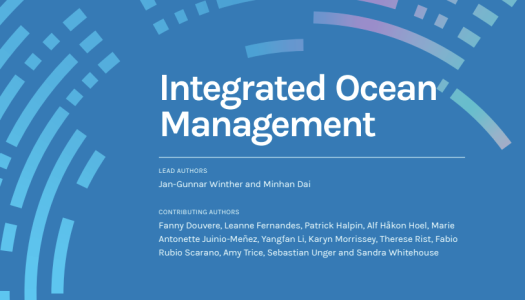 Forsideillustrasjon til rapporten Integrated Ocean Management, med blå bakgrunn og navn på hovedforfattere og bidragsytere.