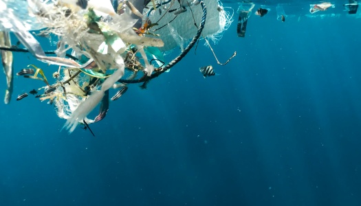 Plastavfall som flyter i havet sammen med små fisker, som illustrerer marin forsøpling.