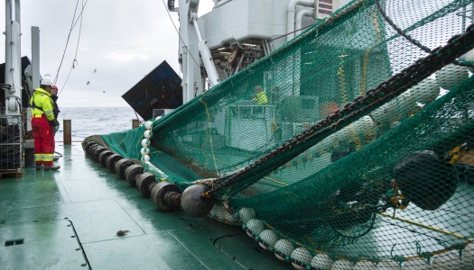Tråling fra skip i Arktis. To mennesker i oransje dresser står å ser på 