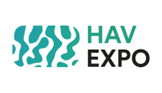 Logo som viser et avrundet kvadrat med et abstrakt turkist havmønster til venstre, og teksten «HAV EXPO» til høyre – «HAV» i turkis og «EXPO» i svart – på hvit bakgrunn.