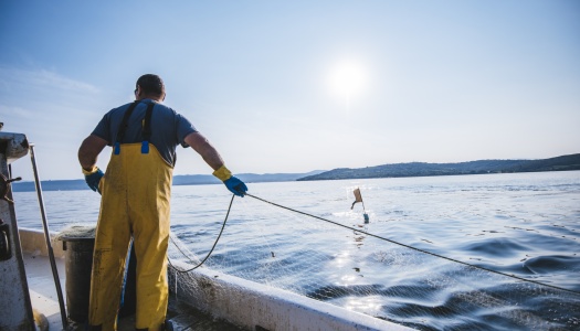 En fisker i gule oljehyrer og blå hansker trekker inn et fiskegarn fra båten på åpent hav under solskinn.
