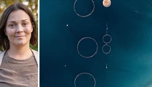 Portrettbilde av Sigri Nilsen og flyfoto av akvakultur. 