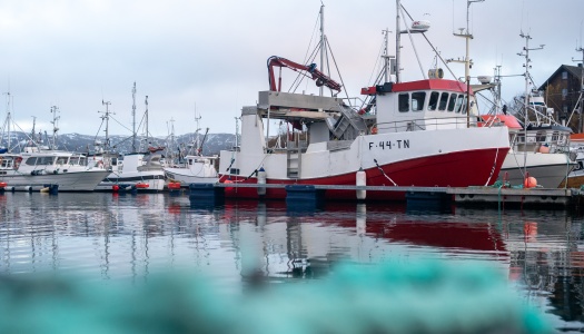 Flere fiskebåter ligger fortøyd ved en kai i en liten havn på en overskyet dag. En rød og hvit arbeidsbåt med kran dominerer forgrunnen, med speilbilde i det rolige vannet. I bakgrunnen sees flere båter og snødekte fjell.