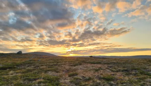 Gyldent landskap i Troms