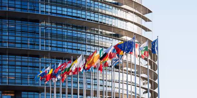 All European Union flags in front of parliament