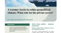 Forside av NUPI policy brief med tittelen ‘A warmer Arctic in colder geopolitical climate: What role for the private sector?’, illustrert med et bilde av skip i Arktis omgitt av is.