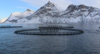 Oppdrettsanlegg med flere runde merder i sjøen, omgitt av snødekte fjell under blå himmel.