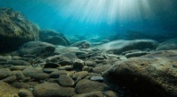 Undervannsbilde av en steinete havbunn badet i sollys som trenger ned gjennom det klare vannet. Lyset danner stråler som sprer seg over steinene og skaper et rolig og naturlig kystmiljø.