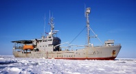 Kystvakt-skip i Arktis, omringet av is 