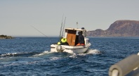 En liten fiskebåt med to personer i arbeidsklær kjører utover på åpent hav med fiskestenger om bord, med fjell og kystlandskap i bakgrunnen.