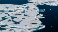 Sjøis i arktis. Refleksjonen av et fly synlig i isen. 